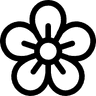 Turkish Names